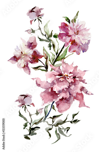 Expanded pink peonies on white background.  Watercolor painting. Hand drown. Vertical orientation. Can be used in greeting cards  wallpapers  fabric  wrapping paper