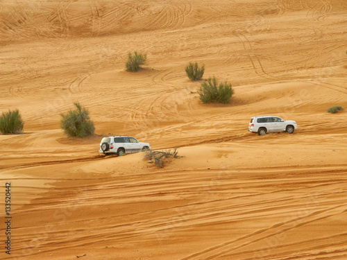 Arabian Desert Safari © Emilian