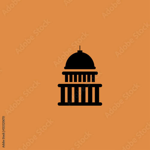 white house icon. flat design