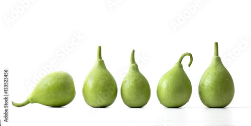 Photos bottle gourd or calabash
