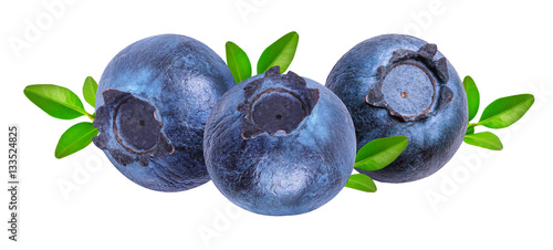 bilberry, blueberry isolated on white