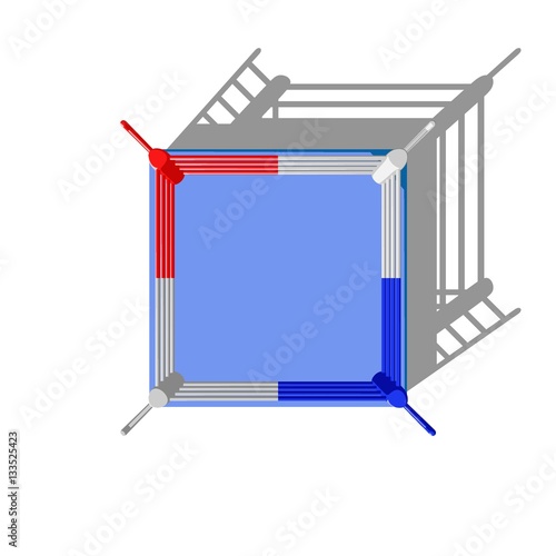 Boxer ring. Isolated on whi...