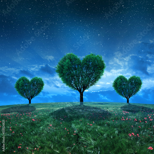 Landscape with field and trees in the shape of heart in night. 