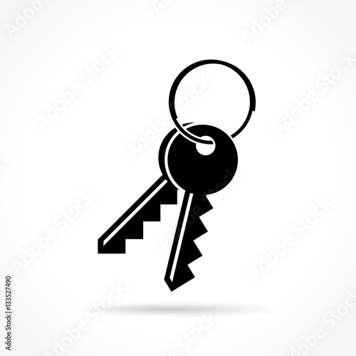 keys icon on white background