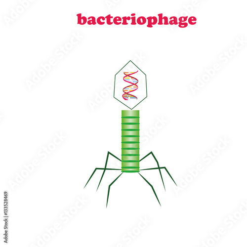 Bactierio phage virus isolated.