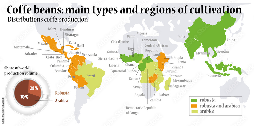 Fototapeta premium Ziarna kawy główne rodzaje. Grafika wektorowa.