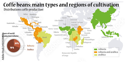 Coffee beans the main types. Vector info graphic.