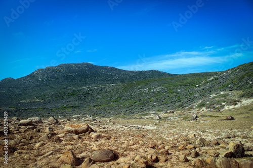 Cape of Good Hope landscape, South Africa