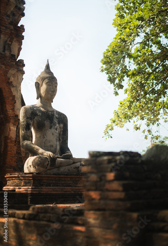 buddha statues in historical park photo