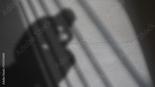 Thinker Shadow on a Cracked Concrete Wall