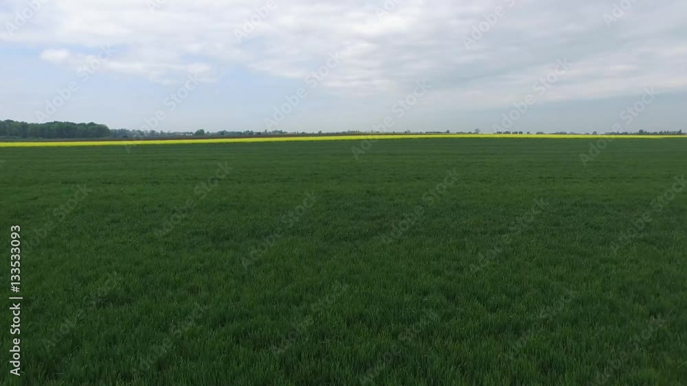 Fields of gras, flying over 