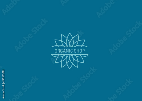 linear logo pattern in the form of a flower shop for organics