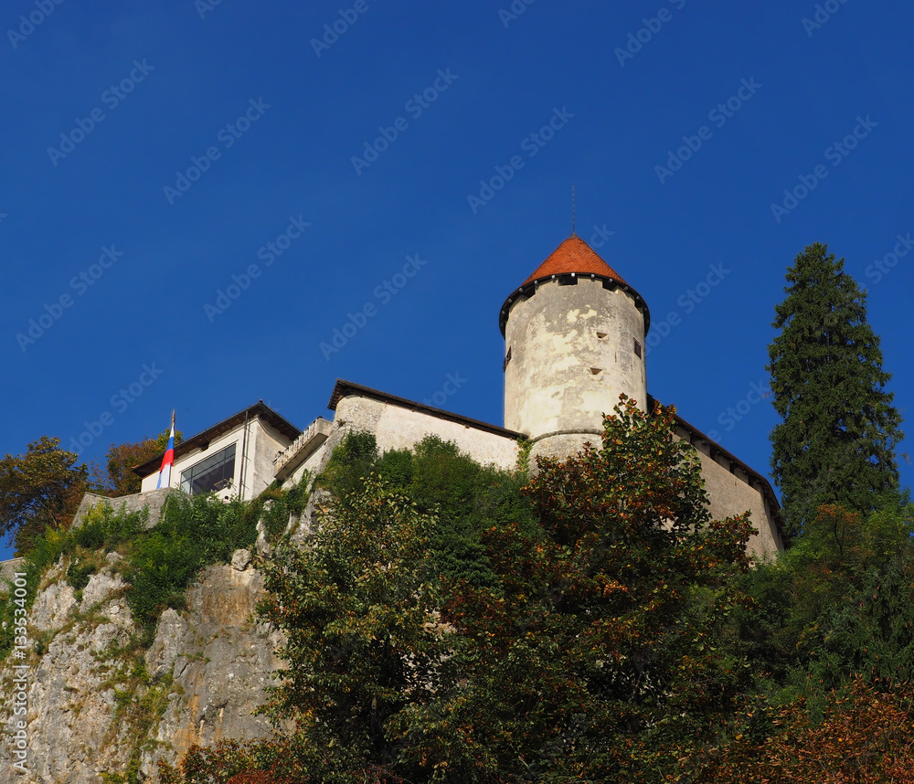Bled castle on the mountain top,Slovenia