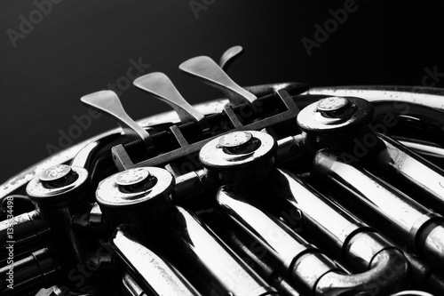 Фотография French horn, black and white