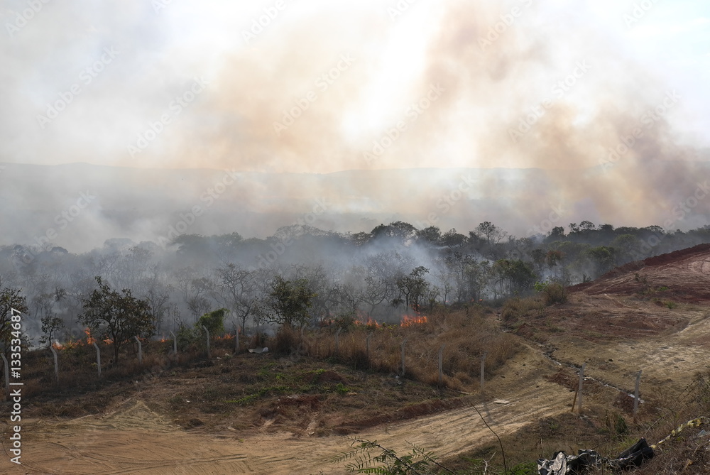 Fototapeta premium Burning Forest In Brazil