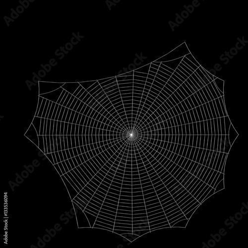 Spiderweb. Isolated on black background. Sketch illustration.