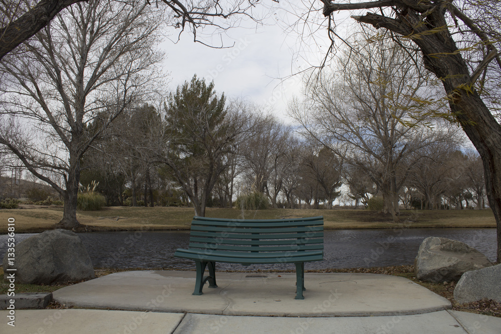 bench by the water