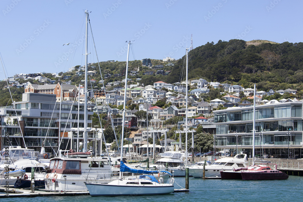 Wellington City Marina