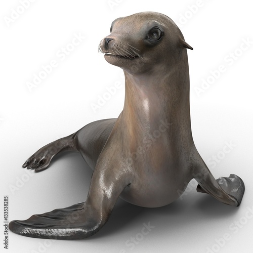 Sea Lion on white. 3D illustration