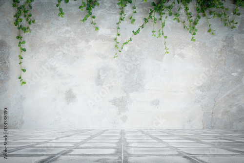 Concrete wall and concrete floor with ornamental plants or ivy or garden tree. © SAYAN