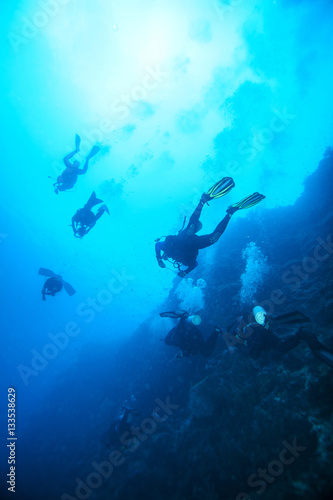 Underwater landscape. Sipadan island. Celebes sea. Malaysia.