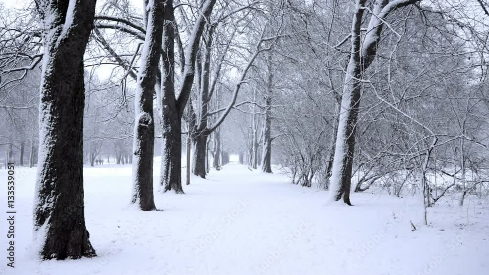 Winter park Winter park