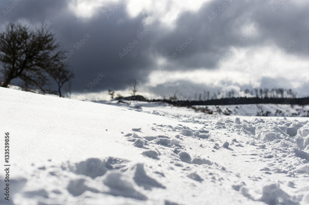 Sicily winter and landscape 