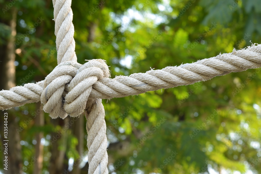 Rope knot line tied together with nature background,as a symbol for trust, teamwork or collaboration Rope knot line tied together with nature background,as a symbol for trust, teamwork or collaboration