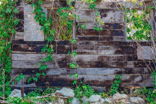 Wood wall background