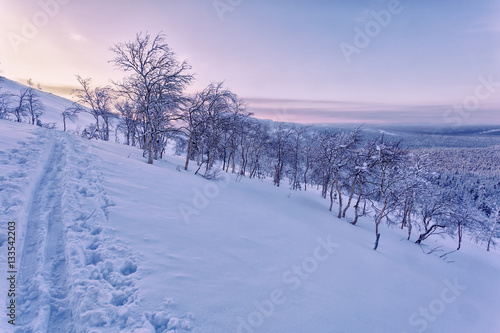 mountain landscape with trees at sunset, Ural mountains