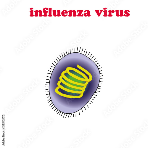 Influenza virus isolated. photo