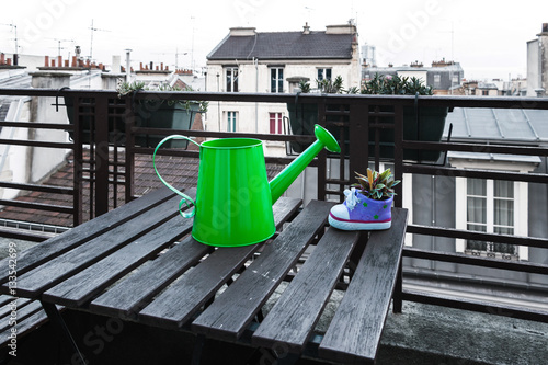 Little garden on balcony - little flower pot with plant and decorative watering can. Toned image.