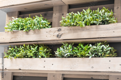 Artificial green branches in wood panels.