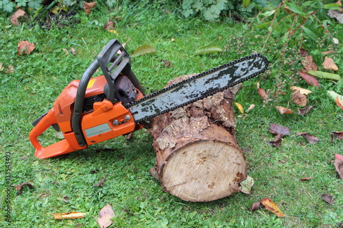 Tronçonneuse sur un rondin