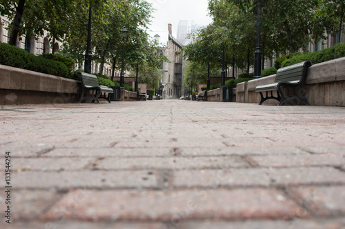 Low point of view looking down a brick paved pedestrian walkway lined with green park benches, shrubbery, and trees in Old Montreal, Quebec, Canada.