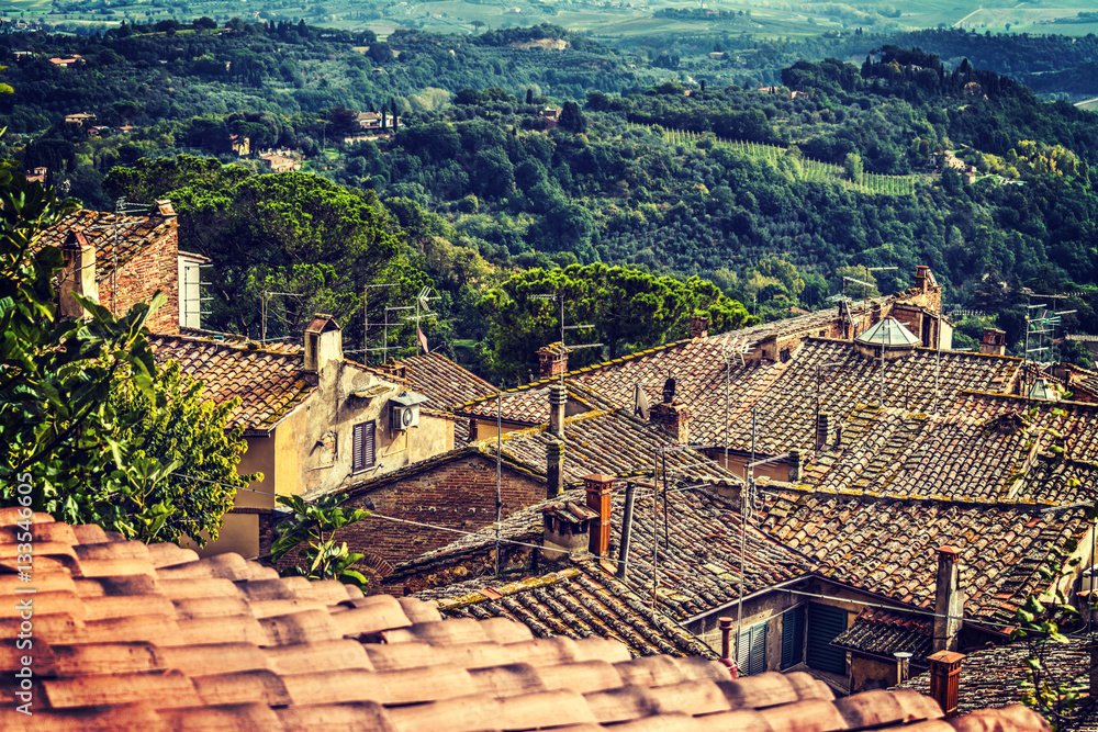 Old roofs in Tuscany