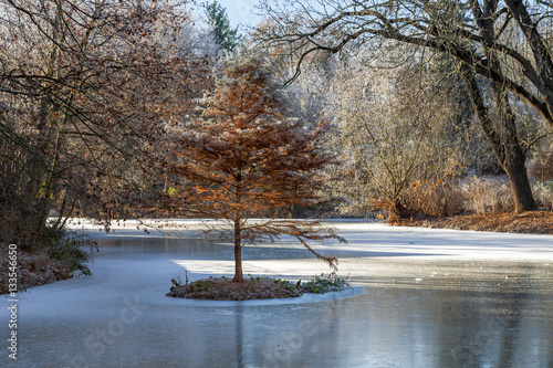 islet in winter lake photo