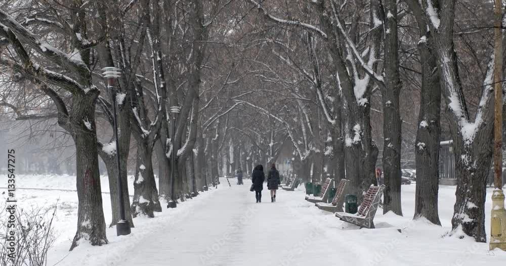 Walking by Snow-Covered Alley, Avenue at the Winter Embankment. Steadicam Pov Shot Walking by Snow-Covered Alley, Avenue at the Winter Embankment. Steadicam Pov Shot