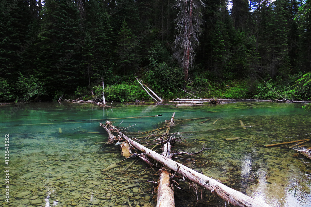 A crystal clear river near the Emerald Lake.  Banff, Alberta, Canada.