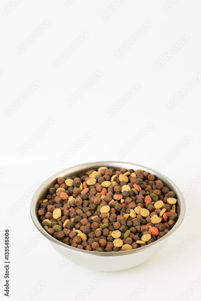doggy bowl with meat feed isolated on white doggy bowl with meat feed isolated on white