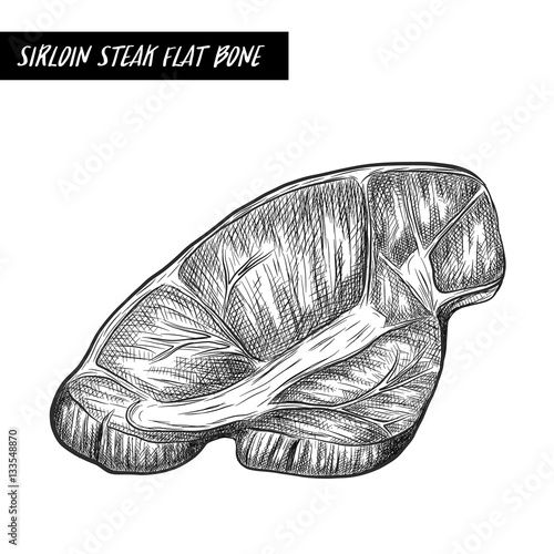 siriloin steak flat bone sketch by hand drawing.siriloin steak flat bone  vector on white background