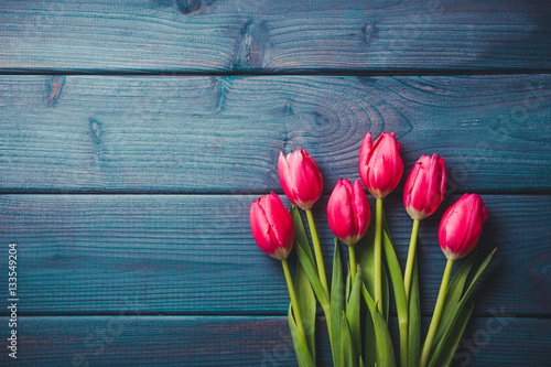 Pink tulips on blue wooden desks background.