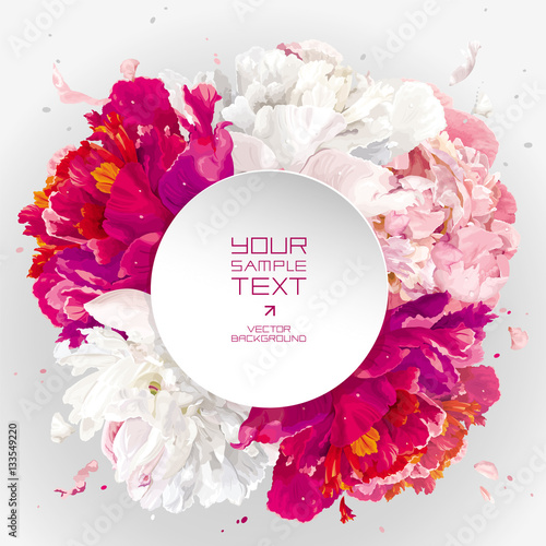 Pink, red and white peony background