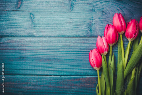 Pink tulips on blue rustic wood background.
