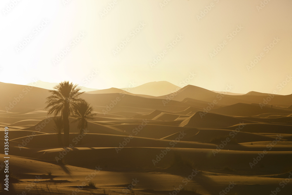 Fototapeta premium coucher de soleil dans le désert