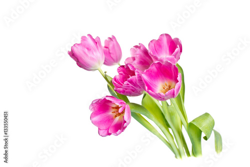 Beautiful bouquet of purple tulips on bright background