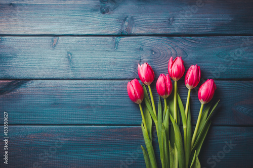 Fototapeta Naklejka Na Ścianę i Meble -  Pink tulips on blue wood.