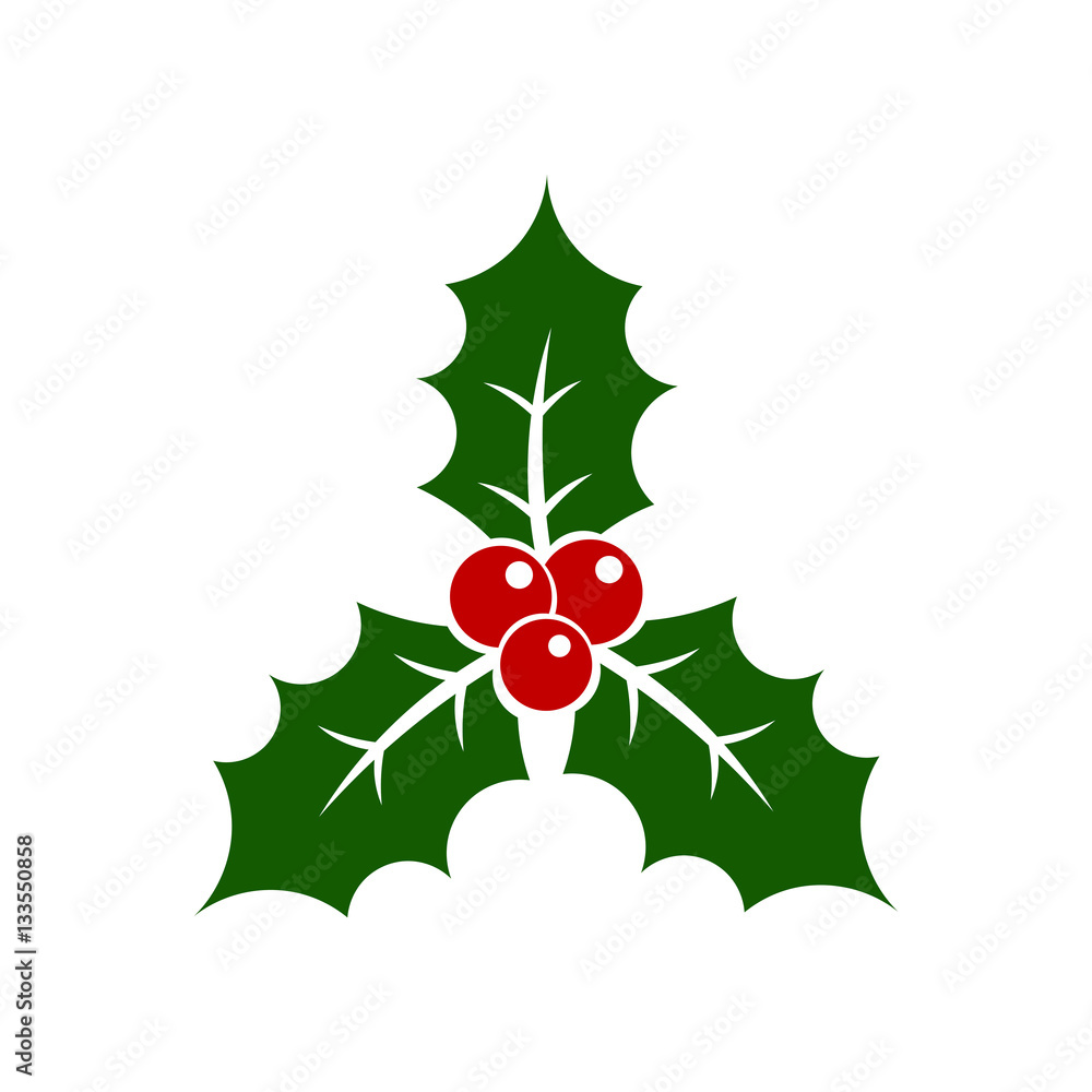 Christmas holly berry Christmas holly berry
