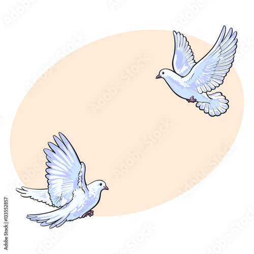 Two free flying white doves, sketch vector illustration isolated on background with place for text. Realistic hand drawn couple of white doves, pigeons flapping wings, symbol of love and romance