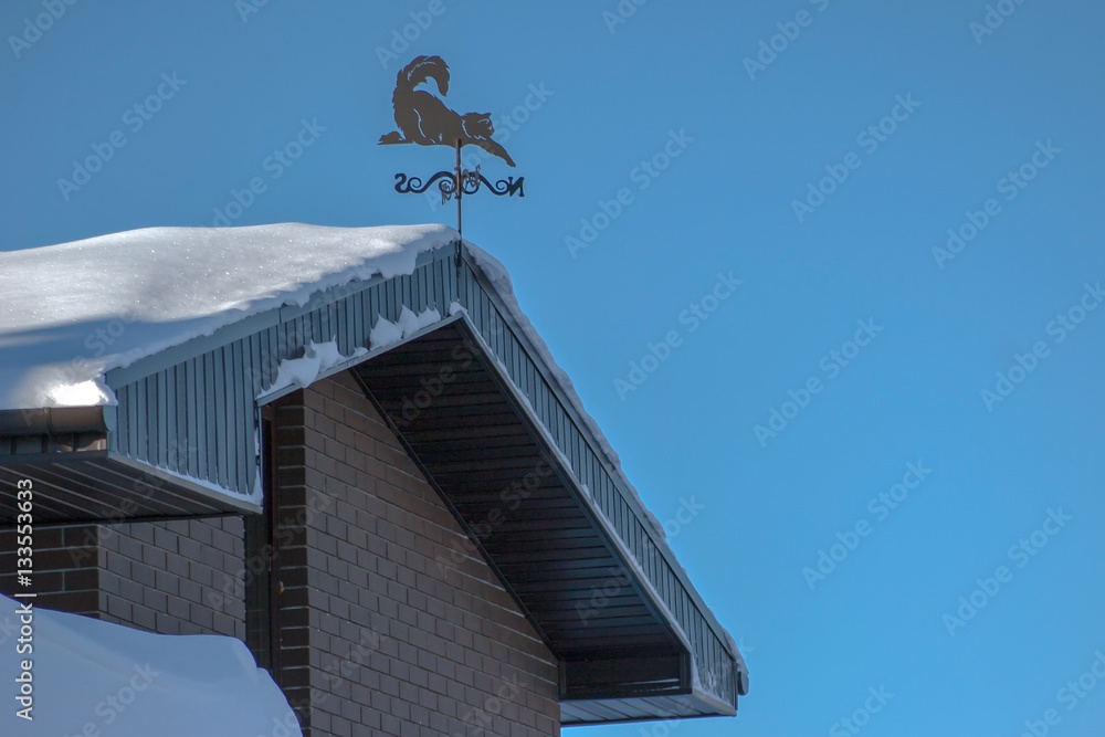 house covered with a thick layer of snow and weather vane on the house covered with a thick layer of snow and weather vane on the